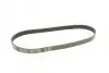 Ремінь генератора Citroen Jumper/Peugeot Boxer 2.0/2.2HDi 04- (-AC)/Opel Movano 2.5D MEYLE 050 006 0875 (фото 4)