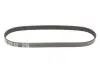 Ремінь генератора Audi A3/VW Caddy II 1.9TDI/SDI (6PK906) MEYLE 050 006 0906 (фото 5)