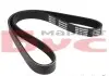 Ремінь генератора VW Caddy III 1.9TDI/2.0TDI/SDI 03- (6PK950) MEYLE 050 006 0950 (фото 2)