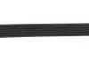 Ремінь генератора Citroen Jumper/Fiat Ducato 2.8HDi/JTD 00- (ALT,WP) (6PK995) MEYLE 0500060995 (фото 3)