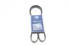 Ремінь генератора Citroen Berlingo/Fiat Scudo 1.9D (1868) (6PK1438) MEYLE 050 006 1438 (фото 1)