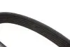Ремінь генератора Citroen Berlingo/Fiat Scudo 1.9D (1868) (6PK1438) MEYLE 050 006 1438 (фото 2)