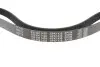 Ремінь генератора Citroen Berlingo/Fiat Scudo 1.9D (1868) (6PK1438) MEYLE 050 006 1438 (фото 3)