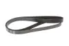 Ремінь генератора Citroen Berlingo/Fiat Scudo 1.9D (1868) (6PK1438) MEYLE 050 006 1438 (фото 4)