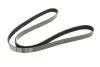 Ремень генератора Citroen Berlingo 1.6 00-08/ Nemo 1.4i 08- (6PK1560) MEYLE 050 006 1560 (фото 1)