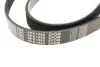 Ремень генератора Citroen Berlingo 1.6 00-08/ Nemo 1.4i 08- (6PK1560) MEYLE 050 006 1560 (фото 4)