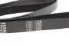 Ремінь генератора VW LT 2.5TDI 96-01/Peugeot Expert 1.9D/2.0HDI 98- (6PK1750) MEYLE 050 006 1750 (фото 3)