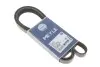 Ремень генератора VW T4 2.0 91- (6PK1870) MEYLE 050 006 1870 (фото 1)