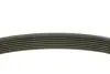 Ремень генератора Renault Megane/Scenic 1.9dCi/2.0 03-/Nissan Juke 1.6 10- (7PK1125) MEYLE 050 007 1125 (фото 2)