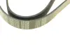 Ремень генератора Renault Megane/Scenic 1.9dCi/2.0 03-/Nissan Juke 1.6 10- (7PK1125) MEYLE 050 007 1125 (фото 4)