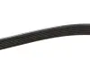 Ремень генератора BMW 5 (E39)/7 (E38) 3.5i/4.0i 93-04 (7PK1629) MEYLE 0500071629 (фото 3)