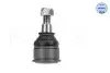 Опора шаровая (передняя/снизу) Honda Civic VII 00-05 MEYLE 31-16 010 0000 (фото 2)