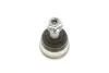 Опора кульова (передня/знизу/ззовні) BMW 3 (E36)/Z3 (E36) 1.6i-3.0 90-03 MEYLE 316 010 0003/HD (фото 3)
