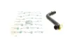 Патрубок радіатора (нижній) Ford Fiesta 1.25-1.6 16V 01-08 (R) MEYLE 719 222 0005 (фото 1)