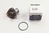 Термостат Opel Astra F 1.6-2.0i 91-01 (92 C) MOTORAD 325-92K (фото 1)