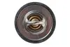 Термостат Peugeot Boxer 2.8HDI/Fiat Ducato 2.5-2.8D 86- (82°C) MOTORAD 552-82K (фото 4)