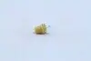 Лампа накаливания 12V 1,5W BX8,5D YELLOW NARVA 17050CP (фото 3)