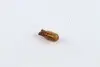 Лампа розжарювання Wy5w 12v 5w W2,1x9,5d AMBER NARVA 17169CP (фото 1)