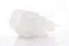 Бачок розширювальний з кришкою FORD C-MAX (CB7, CEU) (10-) 2.0 TDCi NISSENS 996123 (фото 2)