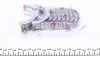 Вкладыши коренные Opel Omega B/Vectra A/Astra G 2.0 (+0.25) (к-кт) = 6035012500 NPR 180 035 0002 15 (фото 3)