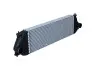 Радиатор интеркулера Suzuki Grand Vitara 1.9DDiS 05-15 NRF 30393 (фото 4)