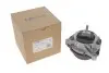 Подушка двигуна (L) BMW 1 (F20)/3 (F30/F80) 11-19 B37/B47/N20/N26/N47/N55 OE Germany 800993 (фото 1)