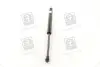 Амортизатор багажника CHEVROLET TACUMA; REZZO (U100) PARTS-MALL PQC-211 (фото 4)