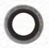 Прокладка сливной горловины двигателя PSA/RENAULT/VOLVO 16.7X24X1.5 Payen KG5012 (фото 1)