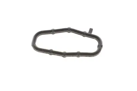Прокладка насоса масляного Citroen Jumpy/Peugeot Expert 2.0 00-16 Peugeot/Citroen 1019.32