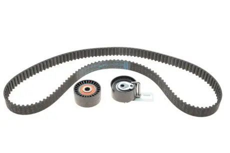 Комплект ГРМ Citroen Berlingo/Jumpy/Peugeot Partner 1.6HDI/Fiat Scudo 2.0D 08- (141z) Peugeot/Citroen 1608747480