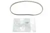 Комплект ГРМ Citroen C1/C3/C4/Peugeot 2008/208/301 1.2 12- Peugeot/Citroen 1608887580 (фото 2)