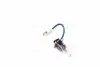 Лампа розжарювання H3 12V 55W PK22s LongerLife Ecovision PHILIPS 12336LLECOC1 (фото 4)