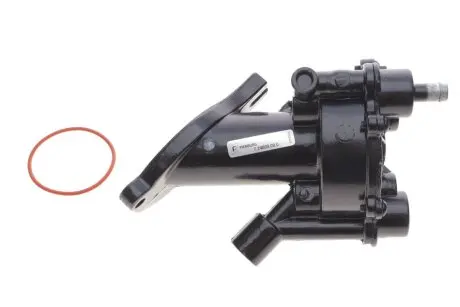 Насос вакуумный Ford Connect 1.8TDCi 02- PIERBURG 7.24808.00.0
