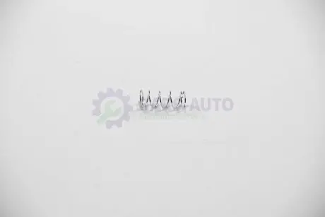 Пружина Щеткодержательа стартера 25.5 mm 10.3 mm PowerMax 81015618