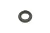 Ремкомплект супорта (заднього) VW Golf III/IV/Sharan 91-10 (d=38mm) (+поршень) QUICK BRAKE 114-5006 (фото 8)
