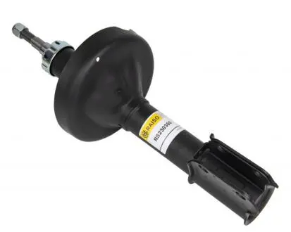 Амортизатор передний Kangoo 98-08 (масл.) RAISO RS230380