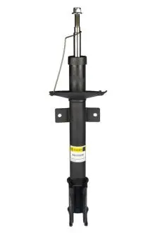 Амортизатор задний Duster (4x4) 10-(газ.) RAISO RS316290