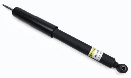 Амортизатор задний MB E-класс (W210) 95-02 (газ.) RAISO RS317257