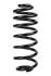 Пружина задня BMW X5 (E70/F15/F85) 06-18 (345*14,5*130) RAISO SR139TP (фото 1)