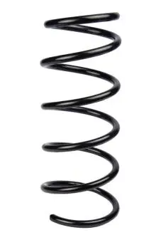 Пружина задня Duster (4x4) 10- (L=360mm D=12.40mm) RAISO SR142TP