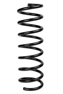 Пружина задня Ford C-Max/Focus C-Max 03-10 (360*11,7*110) RAISO SR167TP