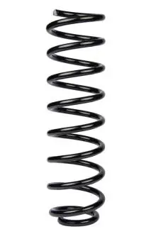 Пружина задня Megane II (універсал) 03- (372*11*100) RAISO SR236TP