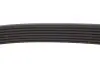 Комплект ременя генератора Master/Opel Movano 2.3dCi 13- (-AC) (7PK1673) RENAULT 117200334R (фото 9)