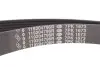 Комплект ременя генератора Master/Opel Movano 2.3dCi 13- (-AC) (7PK1673) RENAULT 117200334R (фото 10)