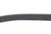 Комплект ременя генератора Duster 1.5dCi 10- (6PK1178) RENAULT 117202506R (фото 6)
