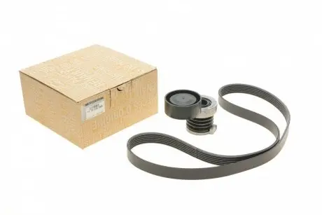 Комплект ременя генератора Kangoo 1.5dCi 08- (6PK1199) RENAULT 117203694R