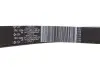Комплект ременя генератора Trafic 1.6 dCi 14- (7PK1684) RENAULT 117205040R (фото 9)