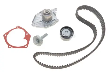 Комплект ГРМ + насос Kangoo 1.5dCi 01- RENAULT 119A02421R