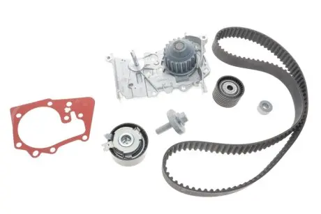 Комплект ГРМ + насос Megane III/ Scenic II/Laguna III 1.6 16V 02- RENAULT 119A04687R
