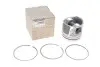 Поршень Master/Opel Movano 2.3dCI/CDTI 14-(85.00mm/STD) RENAULT 12 0A 126 95R (фото 1)